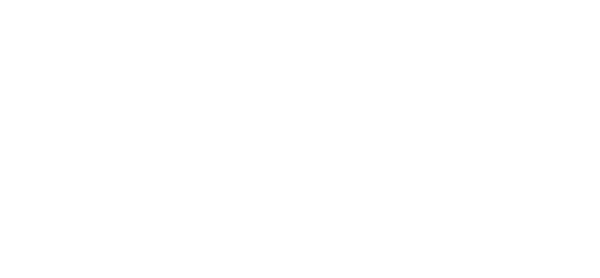 Homo Resiliens